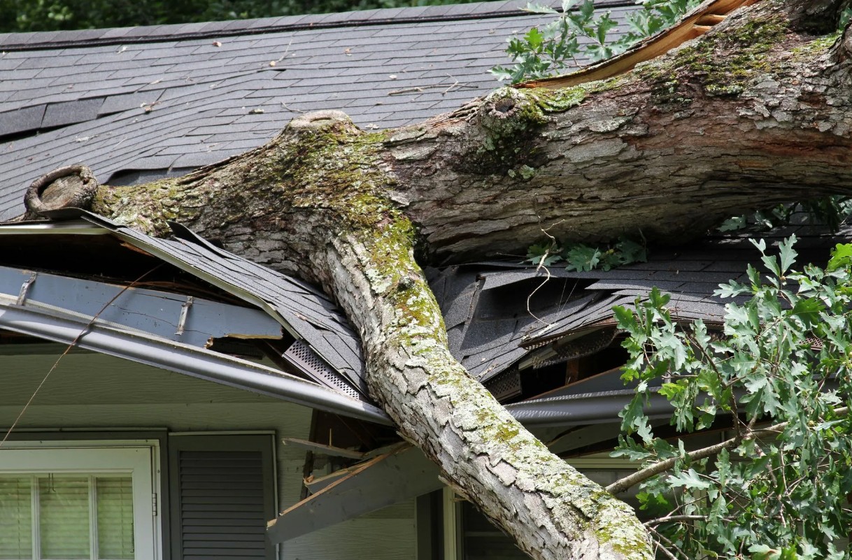 Cary-Tree-Removal-Emergency-Service