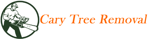 Cary Tree Removal