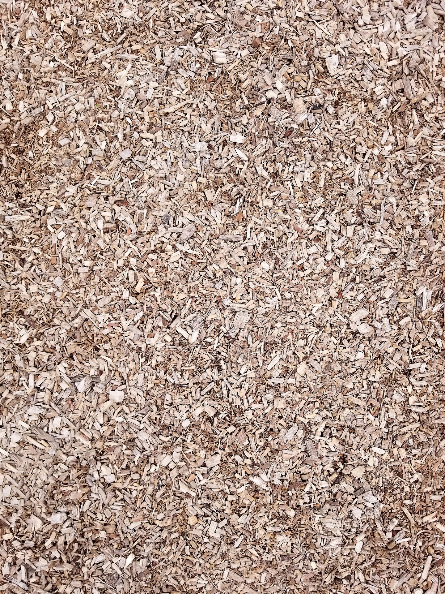 Cary-Tree-Removal-Mulch-101