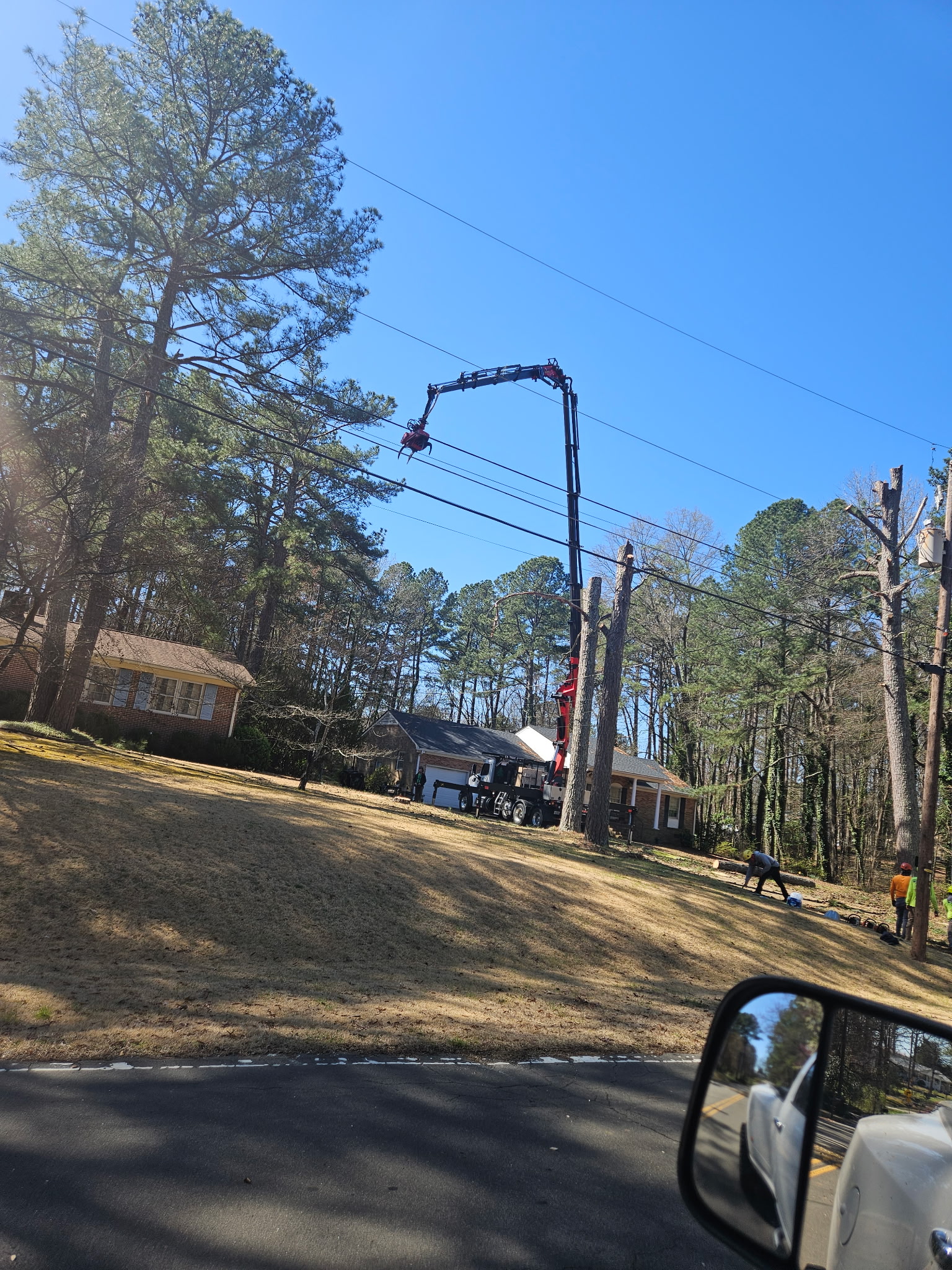Tree removal Cary NC crew safely removing a hazardous tree