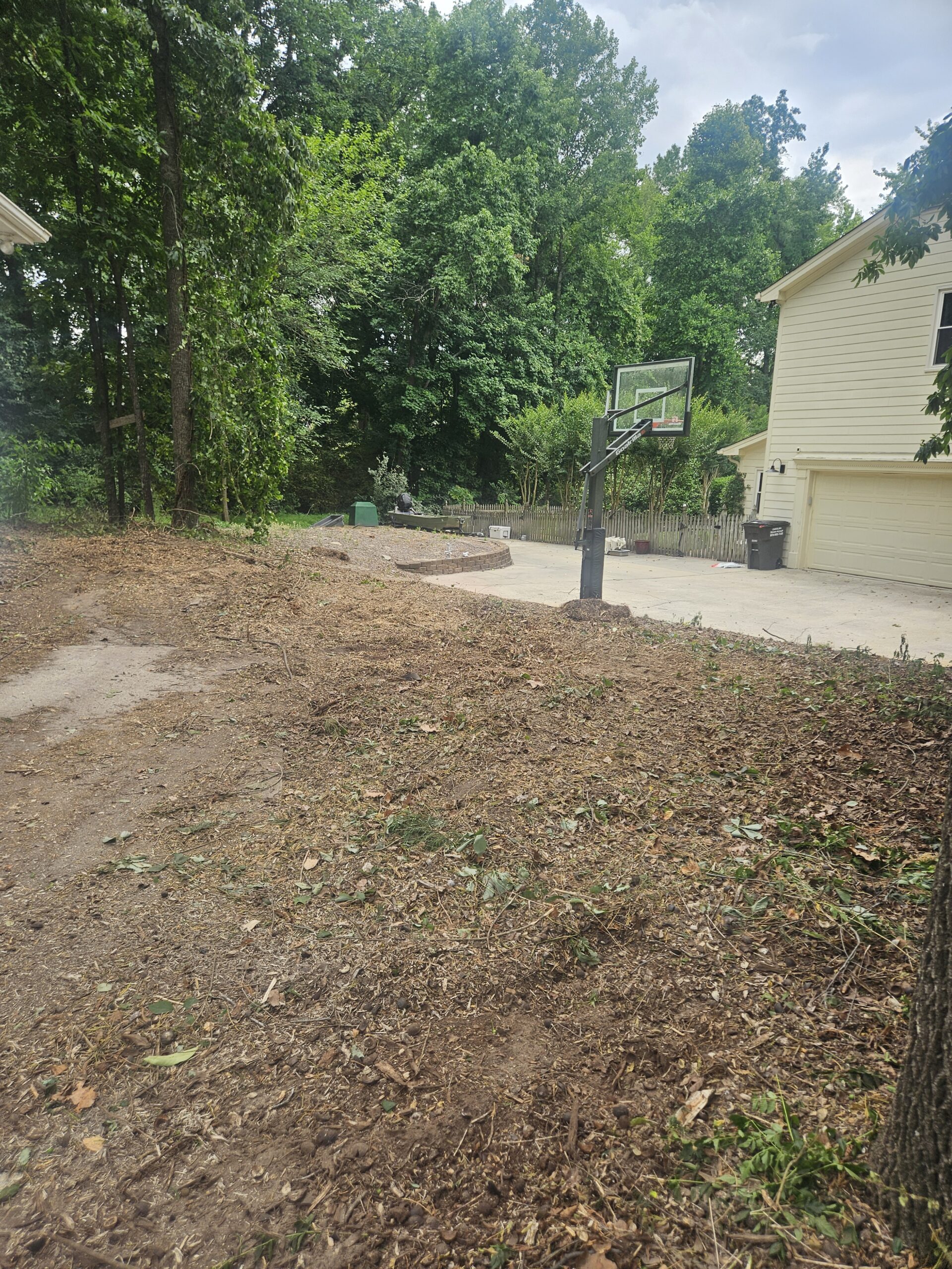 Cary Tree Removal After clearing yard