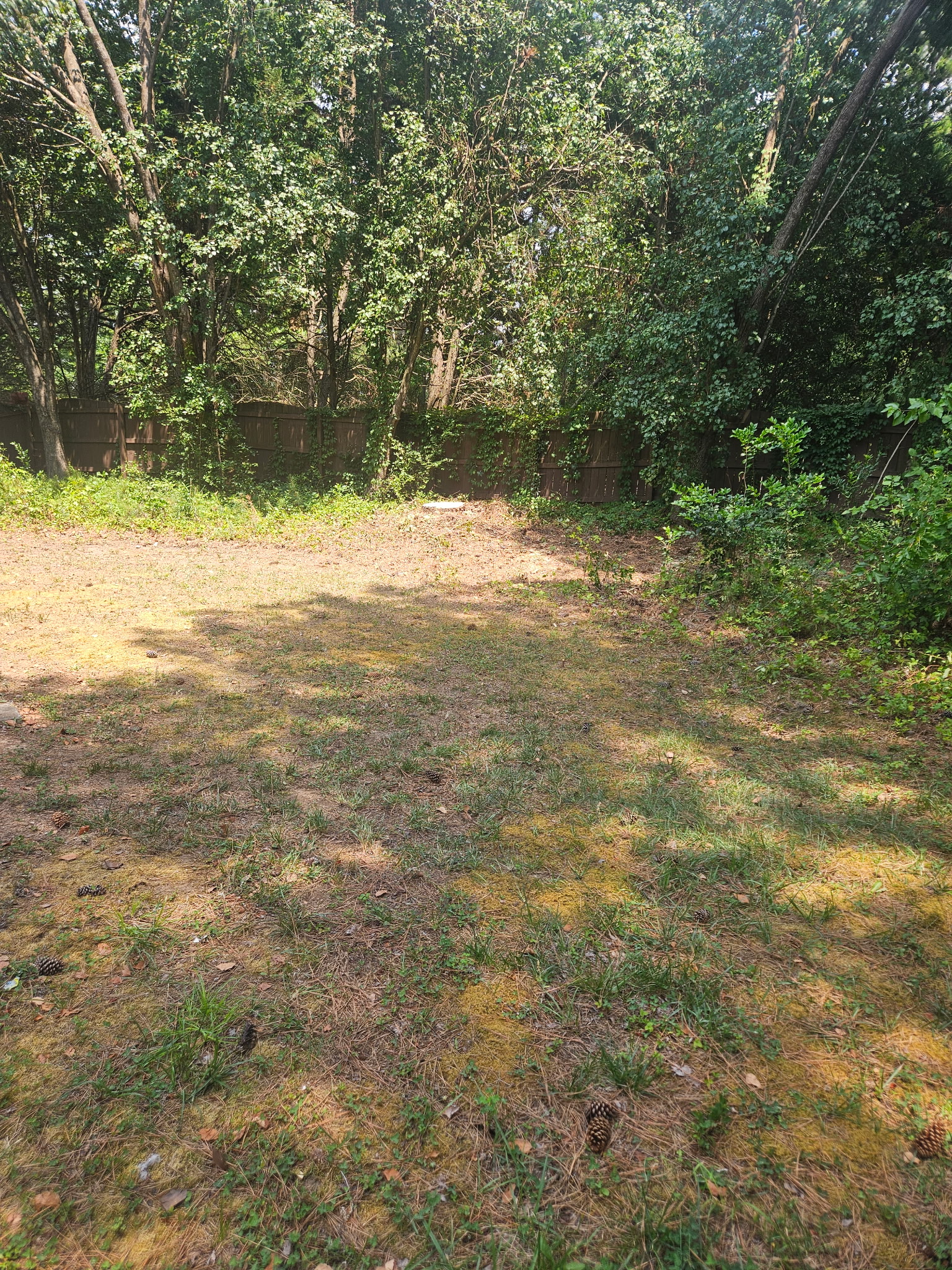 cary-tree-removal-after.6.25.26 Tree removal showing the hazardous tall dead tree removed and the backyard left clean and safe in Cary, NC.