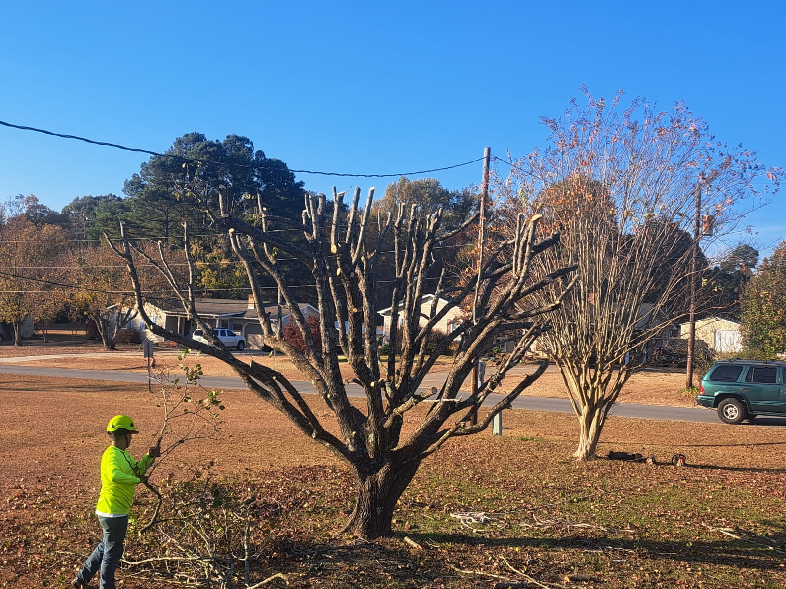 Cary Tree Removal crew performing tree removal service in Fuquay-Varina, NC