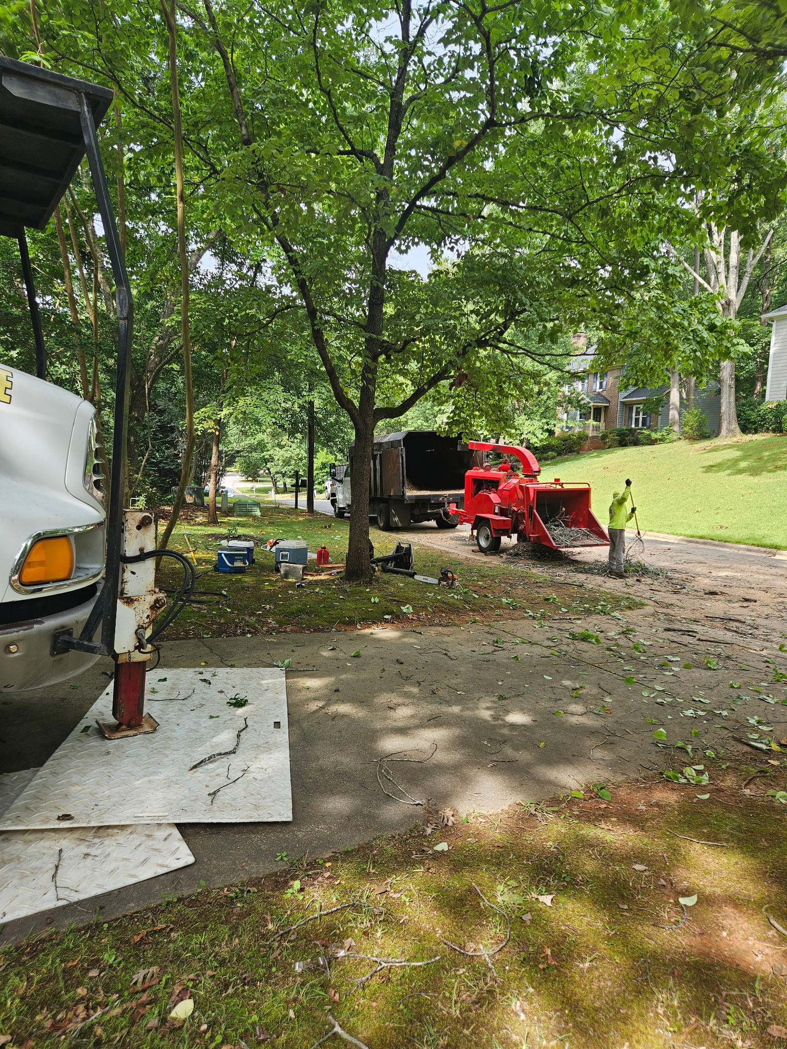 Tree Removal Service in Pittsboro, NC | Cary Tree Removal Cary Tree Removal crew performing tree removal service in Pittsboro, NC