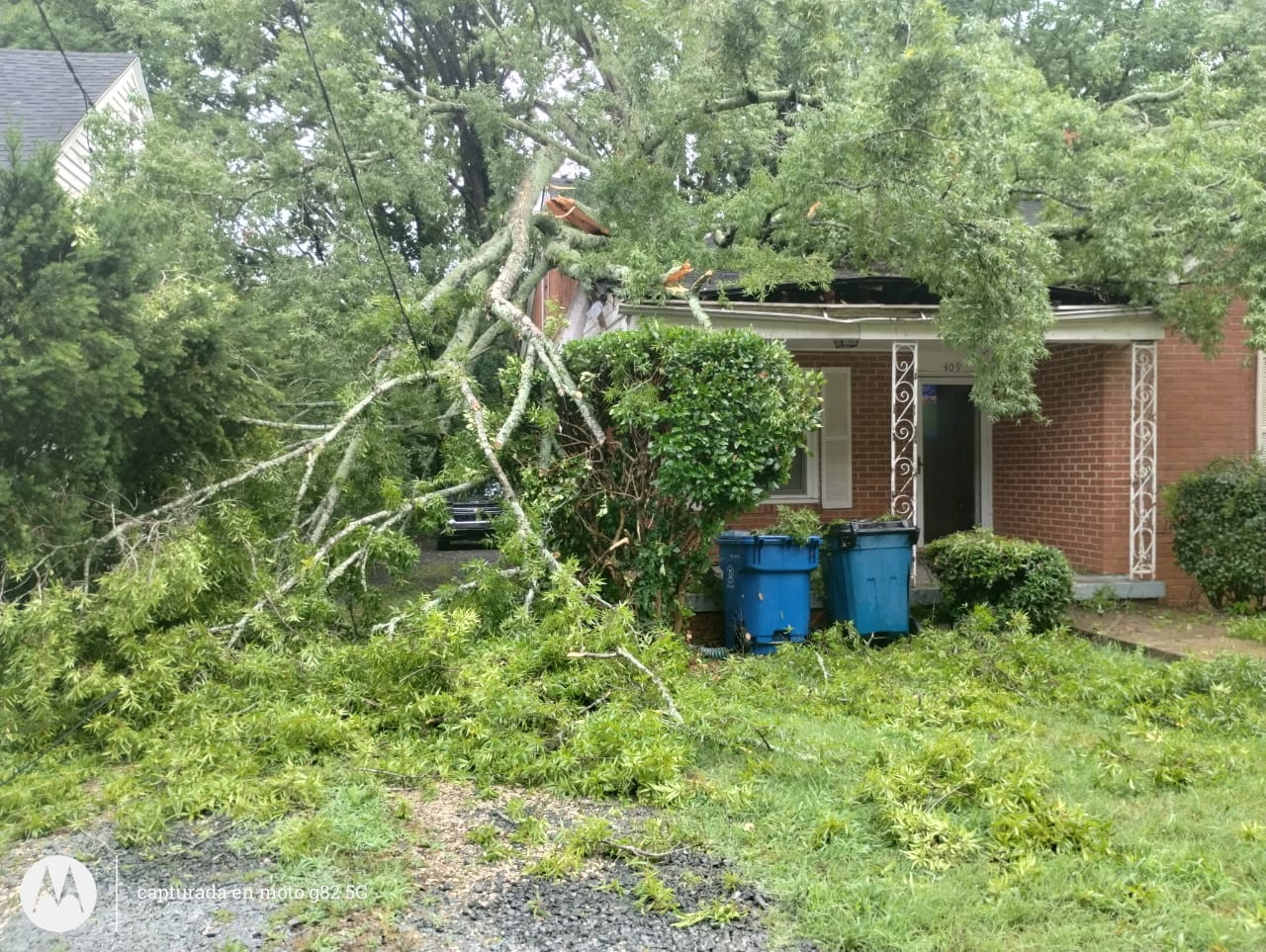 Tree Removal Service in Raleigh, NC | Cary Tree Removal Cary Tree Removal crew performing tree removal service in Raleigh, NC
