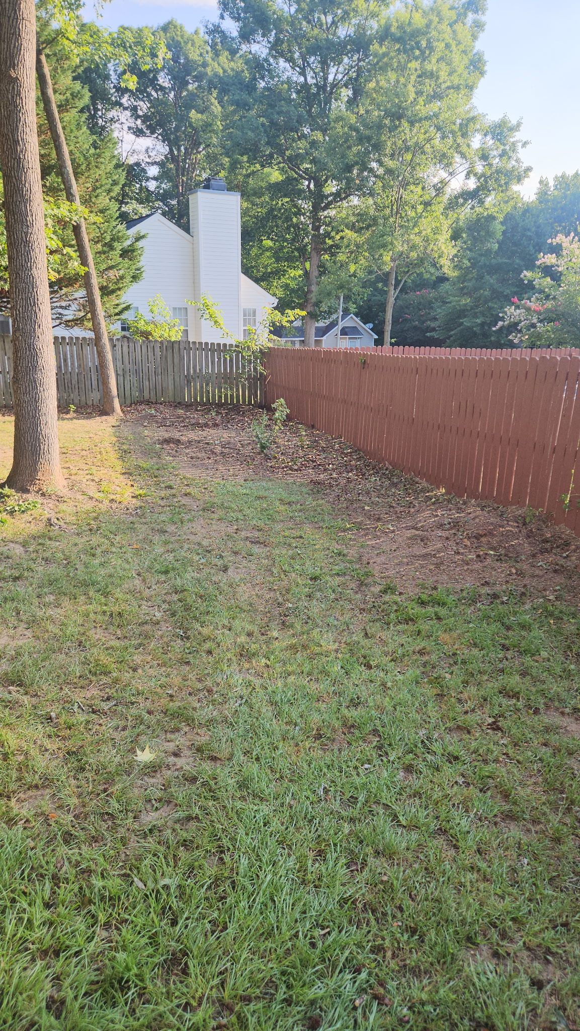 holly-springs-tree-removal-after Backyard after professional tree removal in Holly Springs, NC with the tree removed and the property cleaned.