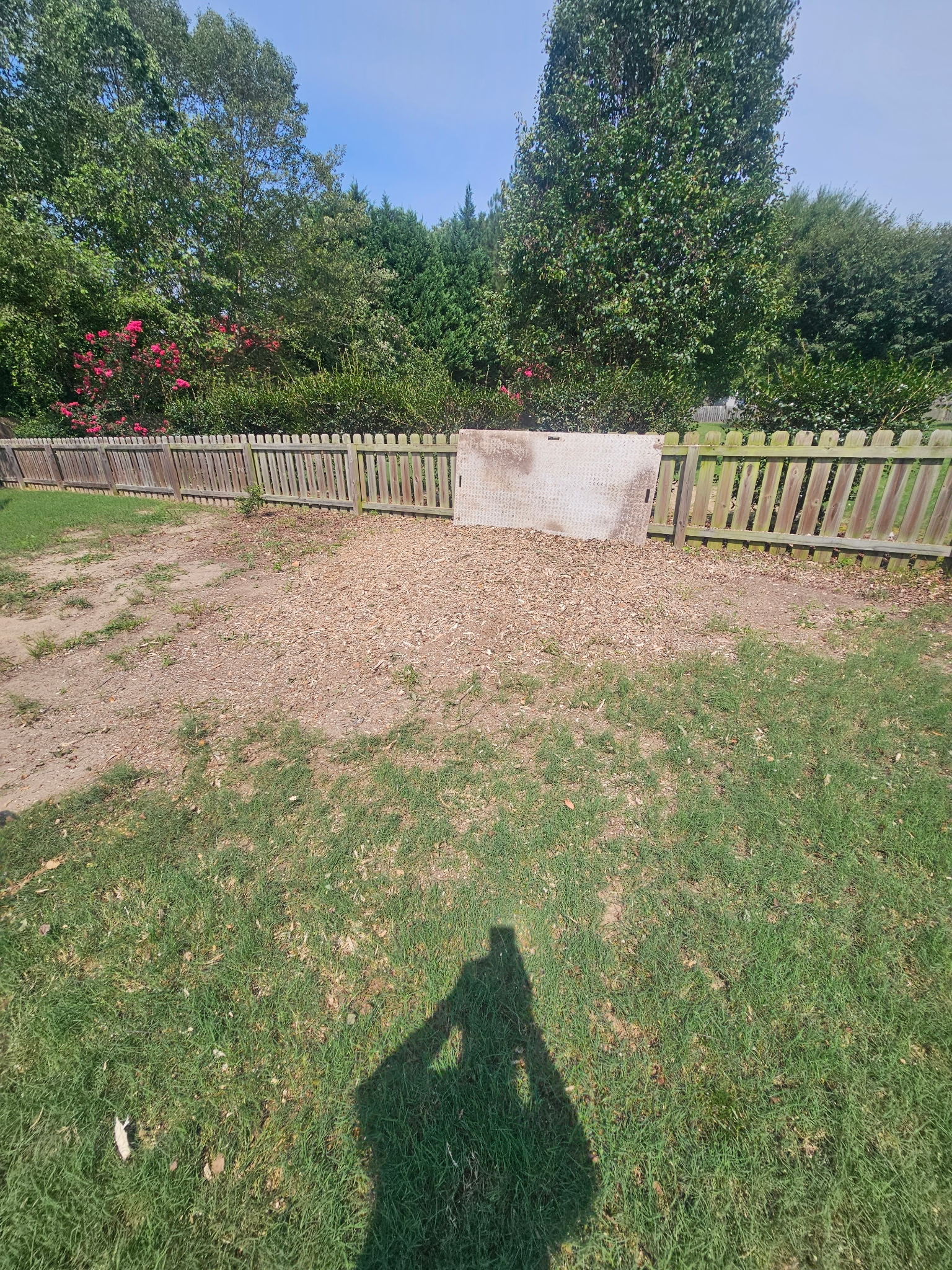 417216359730588389 After photo showing successful tree removal and complete cleanup at a residential property in Willow Springs, NC.