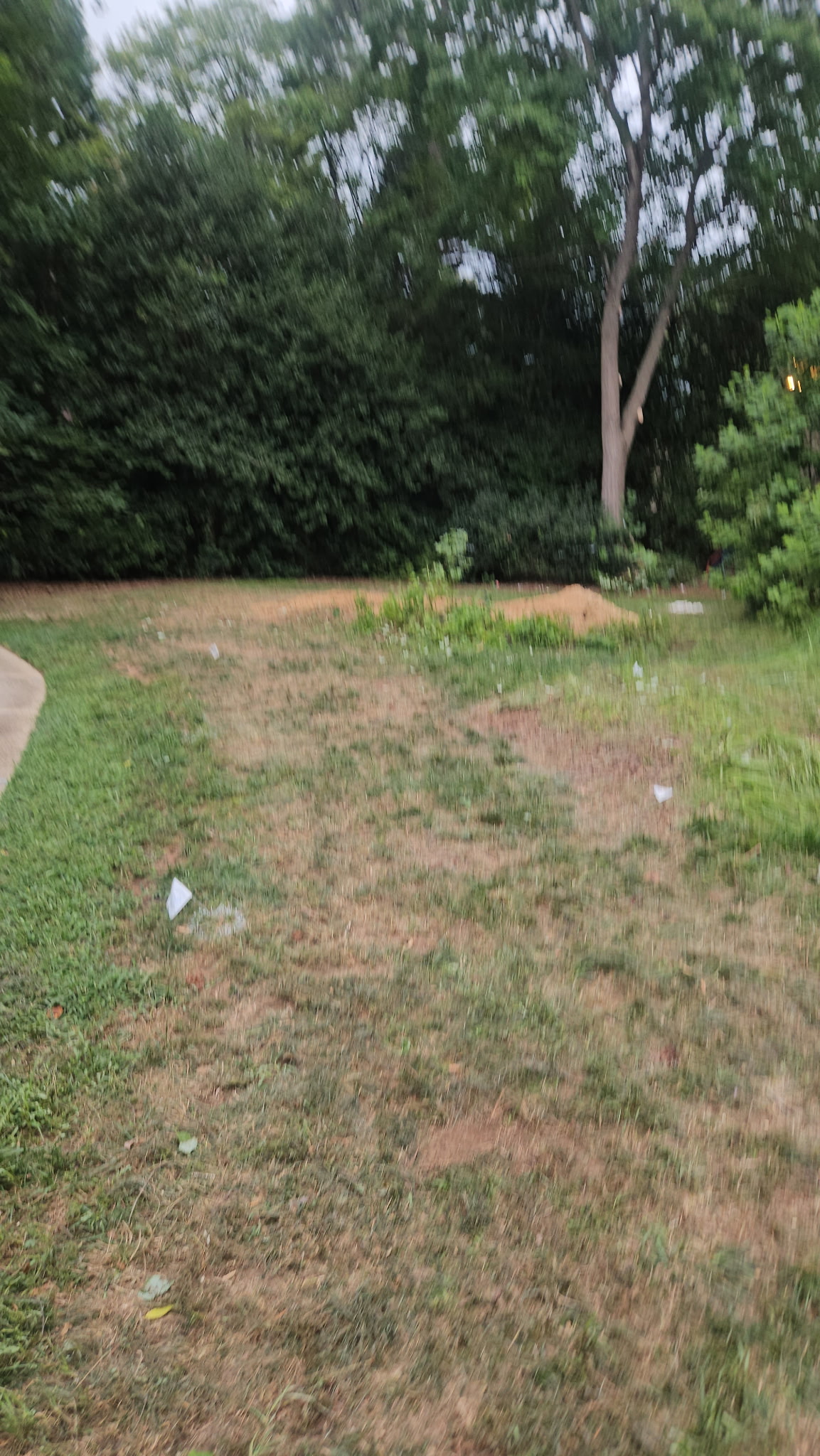 Tree Removal in MacGregor Downs, Cary NC - After After photo showing the yard after professional tree removal in MacGregor Downs, Cary NC.