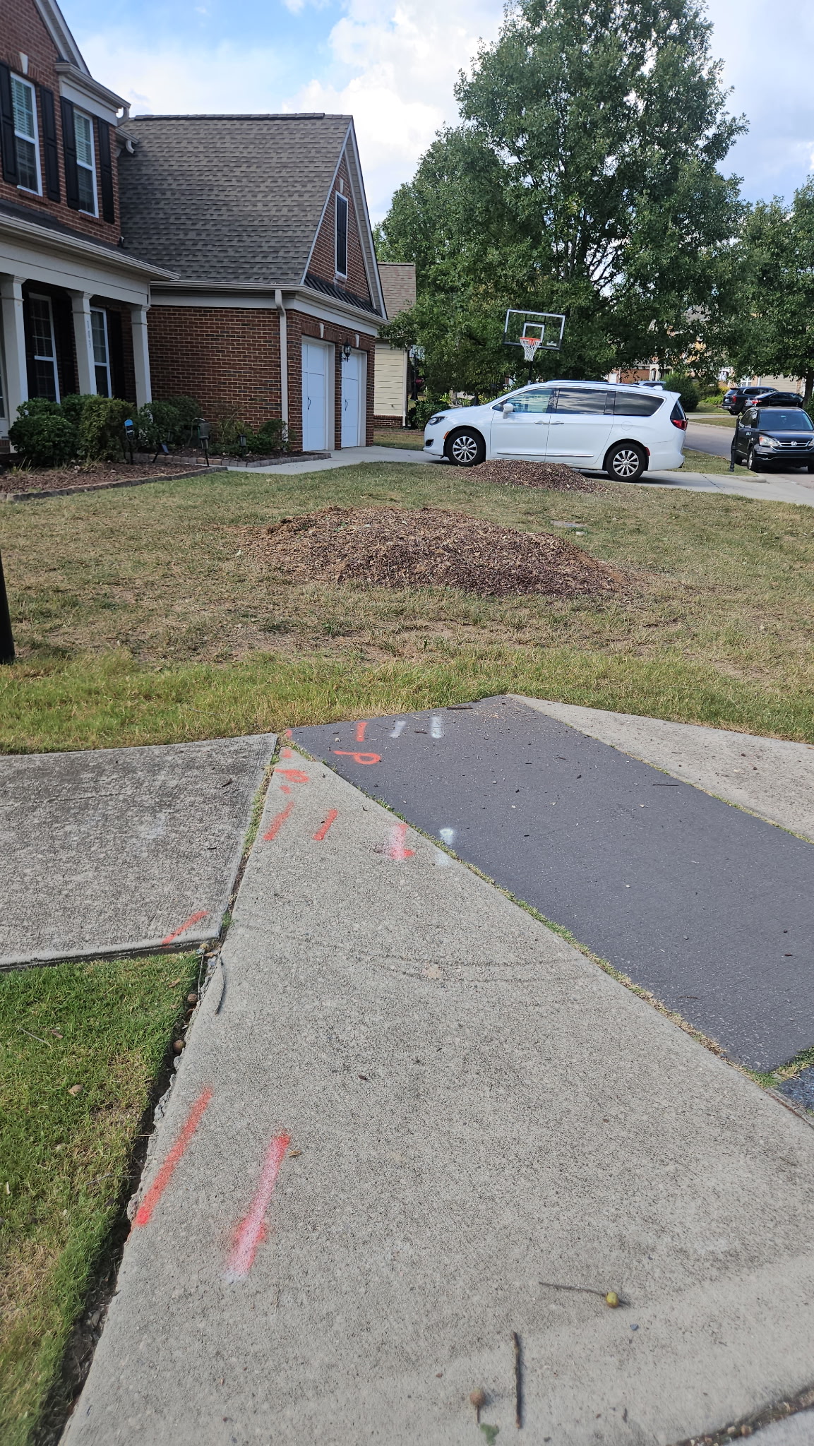 Completed tree removal project in Holly Springs NC