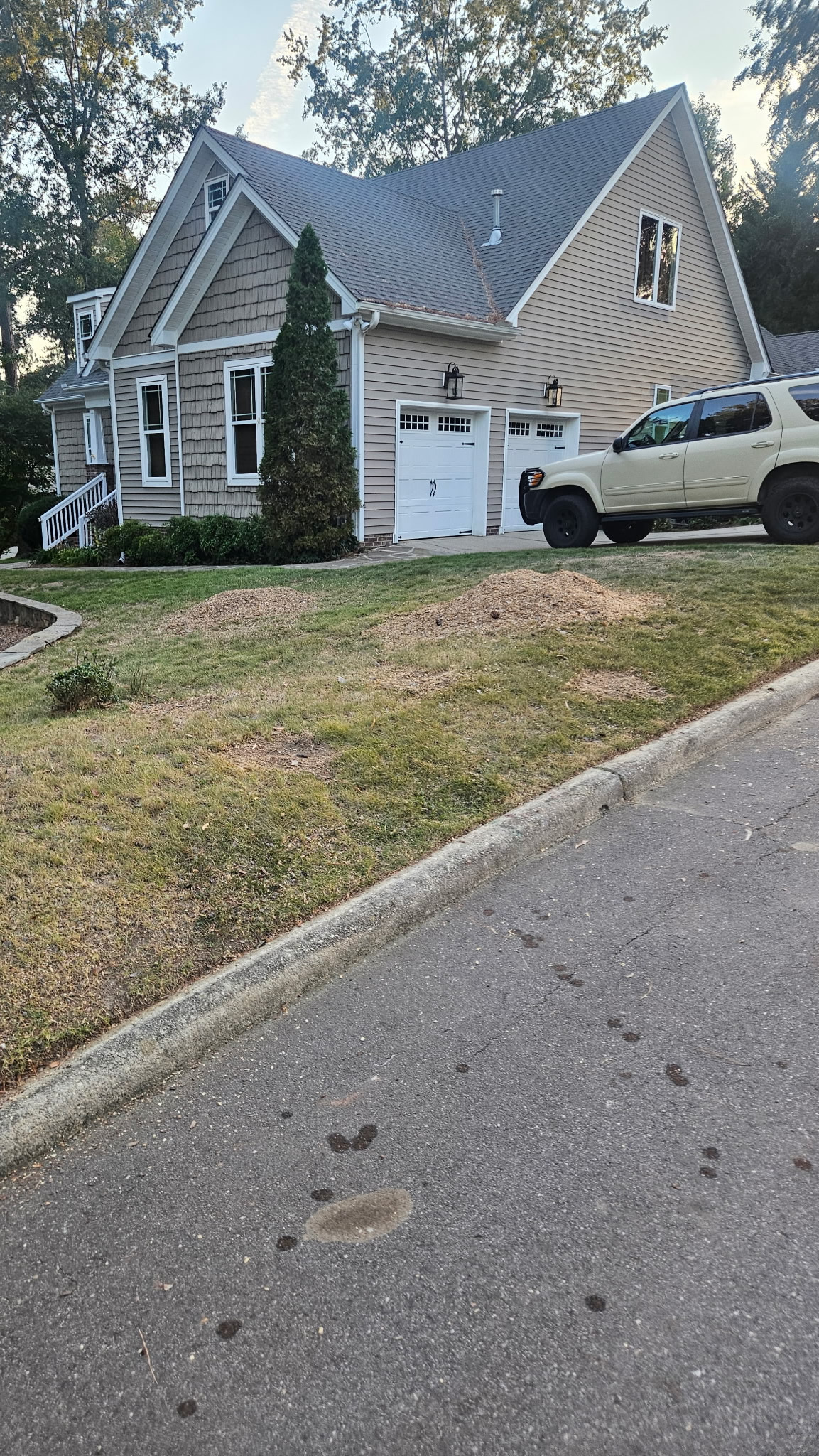 After photo showing the completed removal of large pine trees at a residential property in Cary, NC.